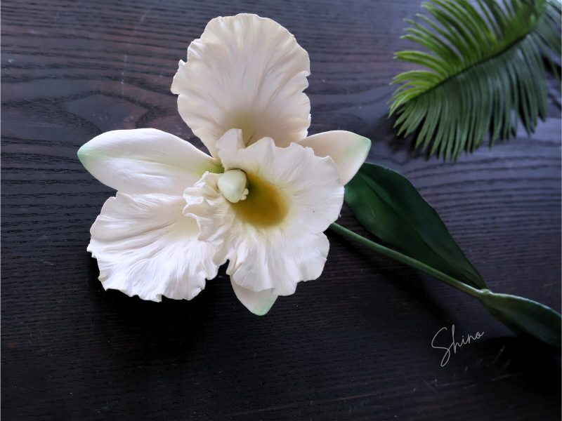 ソフト粘土で作ったカトレアの花。ちゃくしょくを することでナチュラルなリアル感のある作品に仕上げている