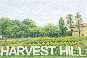 南大阪・堺市にあるハーベストの丘。「HARVEST HILL」パネル前は写真映えするスポット