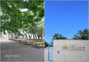 堺市北区の大阪公立大学の正門と大きな木の下に並ぶ椅子と机